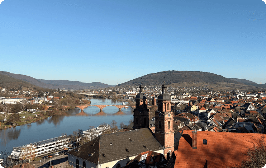 Overview of SSM Germany